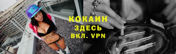 дурь Магас