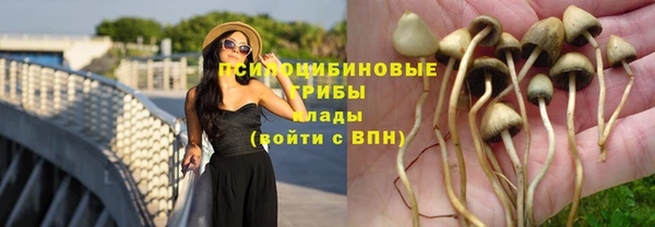 MESCALINE Майский
