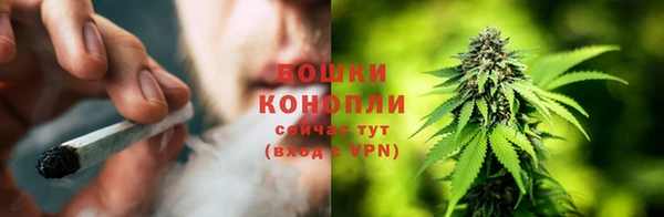 дурь Магас