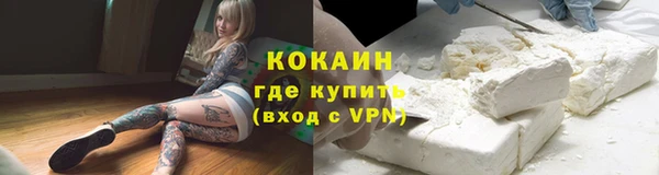 МДПВ Домодедово