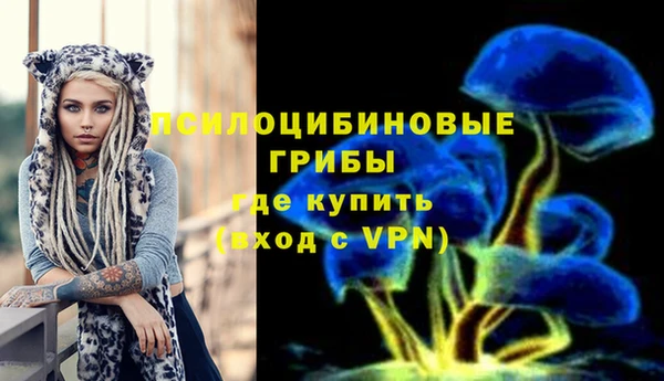 дурь Магас