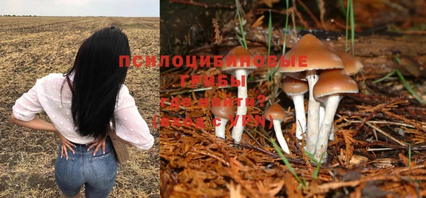 MESCALINE Майский