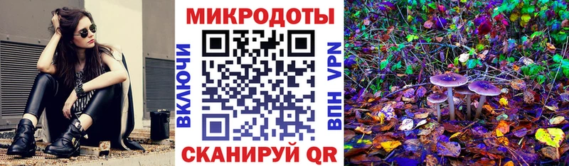 Псилоцибиновые грибы Psilocybe  Фрязино 